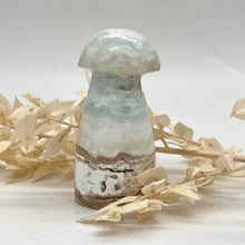 Load image into Gallery viewer, Caribbean Calcite Mushroom Crystal Carving
