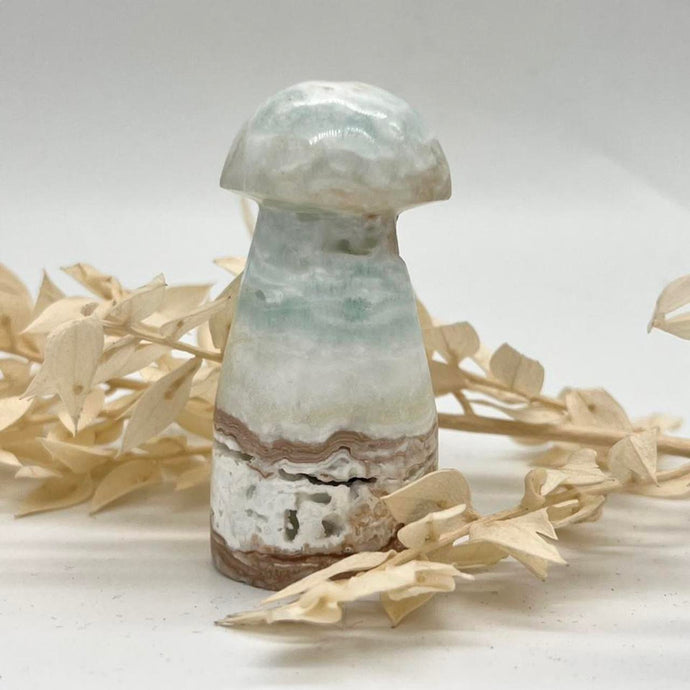 Caribbean Calcite Mushroom Crystal Carving