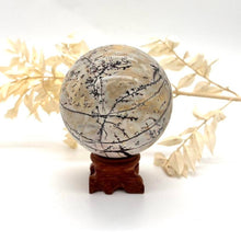 Load image into Gallery viewer, Dendritic Picture Jasper Sphere Crystal Ball Stone Crystal
