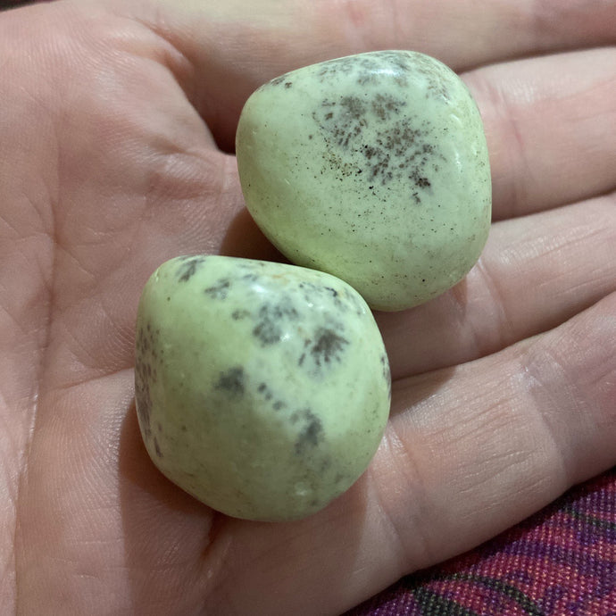 Lemon Chrysoprase Tumbled / Tumble Stone / Tumbles