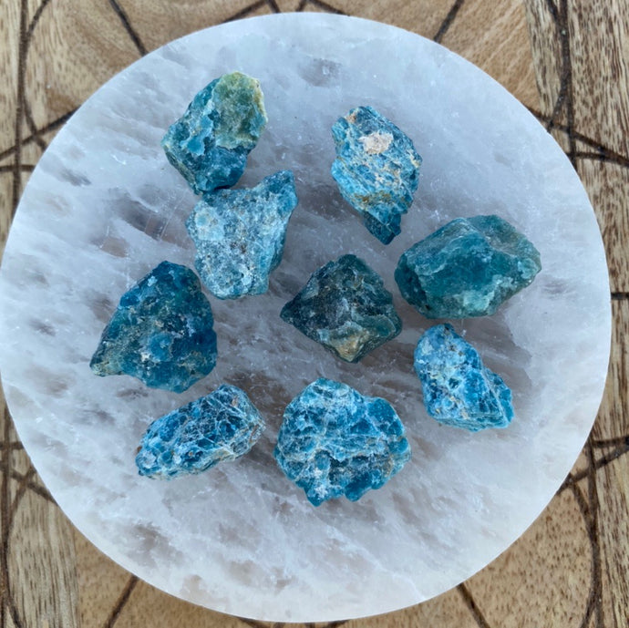 Apatite Small Raw Crystal Rock Chunk