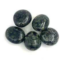 Load image into Gallery viewer, Kambaba Jasper Crystal Palm Stone
