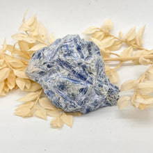 Load image into Gallery viewer, Gorgeous Dark Blue A grade Kyanite Crystal Cluster Specimen
