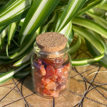 Load image into Gallery viewer, Carnelian Crystals Crystal Chips Magic Gift - One Jar
