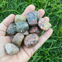 Load image into Gallery viewer, Leopard Skin Jasper Tumbled / Tumble Stone / Tumbles
