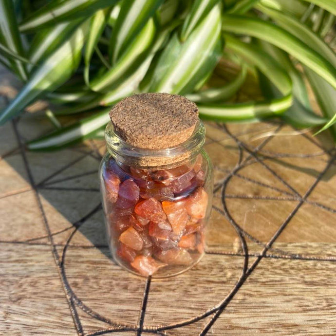 Carnelian Crystals Crystal Chips Magic Gift - One Jar