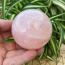 Load image into Gallery viewer, Rose Quartz Crystal Sphere Crystal Ball Specimen Gift
