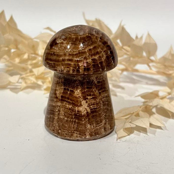 Chocolate Calcite Mushroom Crystal Carving