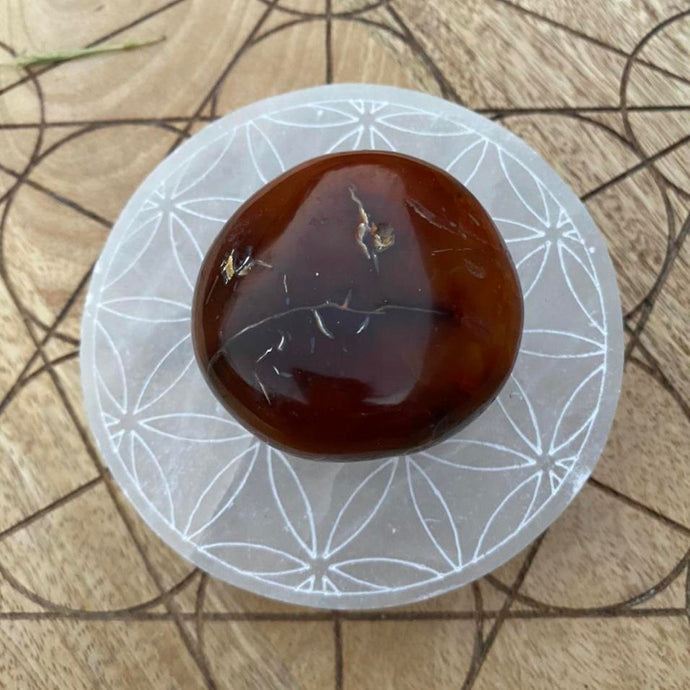 Carnelian Crystal Palm Stone Palmstone