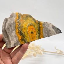 Load image into Gallery viewer, Bumble Bee Jasper Slab Polished Raw Stone
