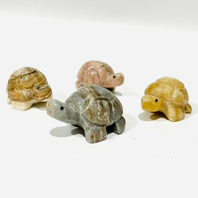 Tortoise / Turtle Crystal Carving