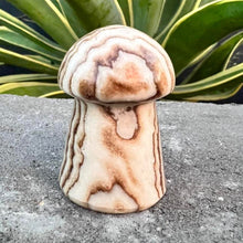 Load image into Gallery viewer, Chocolate Calcite Mushroom Crystal Carving
