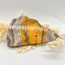 Load image into Gallery viewer, Bumble Bee Jasper Slab Polished Raw Stone
