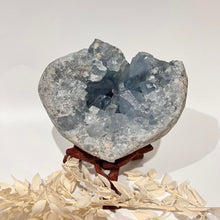 Load image into Gallery viewer, Celestite Crystal Cluster Specimen Raw Crystal Blue crystal
