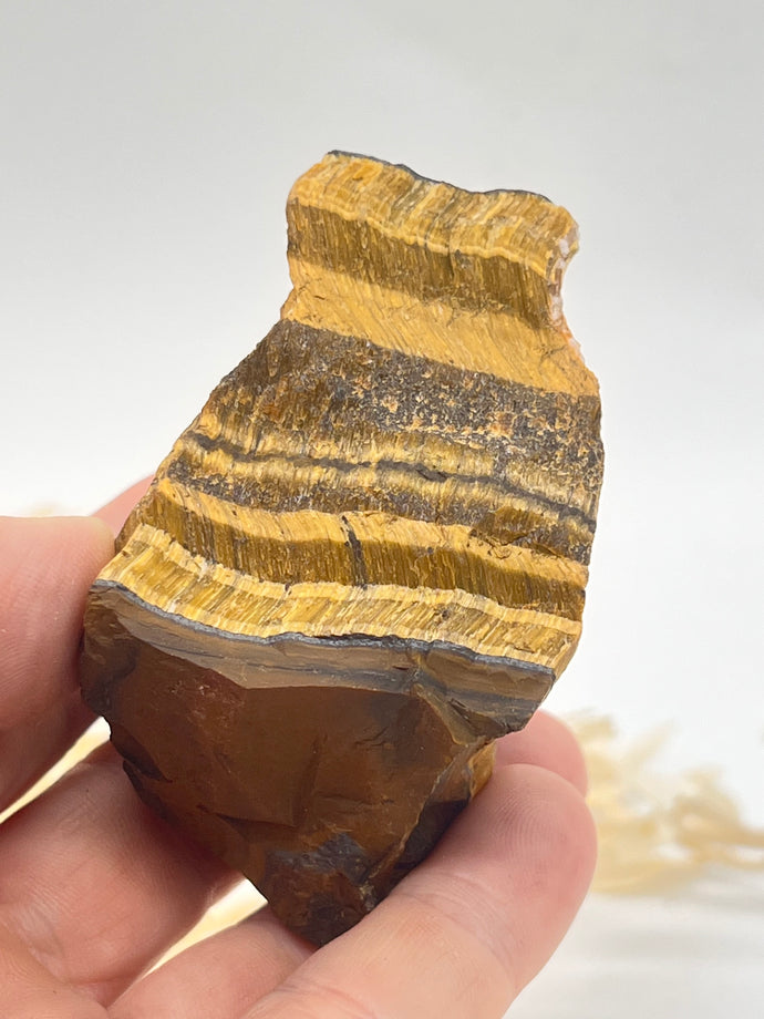 Tigers Eye Tiger Eye Raw Crystal Chunk