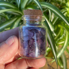 Load image into Gallery viewer, Amethyst  Crystals Crystal Chips Gift - One Jar
