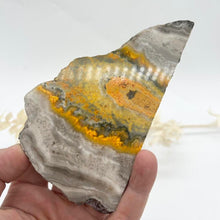 Load image into Gallery viewer, Bumble Bee Jasper Slab Polished Raw Stone
