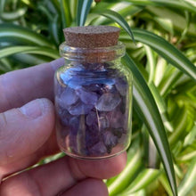 Load image into Gallery viewer, Amethyst  Crystals Crystal Chips Gift - One Jar
