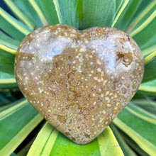 Load image into Gallery viewer, Ocean  Jasper Heart Crystal Gift for Her
