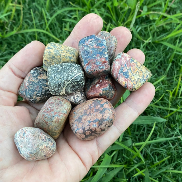 Leopard Skin Jasper Tumbled / Tumble Stone / Tumbles