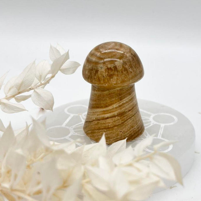 Chocolate Calcite Mushroom Crystal Carving