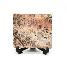 Load image into Gallery viewer, Dendritic Picture Jasper Slab Stone Crystal
