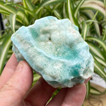 Load image into Gallery viewer, Aragonite Blue Aragonite  Raw Stone / Crystal Specimen
