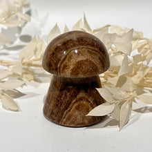 Load image into Gallery viewer, Chocolate Calcite Mushroom Crystal Carving
