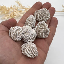 Load image into Gallery viewer, Desert Rose Selenite Cluster Raw Crystal Rock
