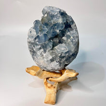 Load image into Gallery viewer, Celestite Crystal Cluster Specimen Raw Crystal Blue crystal
