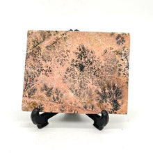 Load image into Gallery viewer, Dendritic Picture Jasper Slab Stone Crystal
