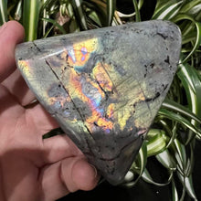 Load image into Gallery viewer, Labradorite Freeform Crystal Rock with Rainbow Flash
