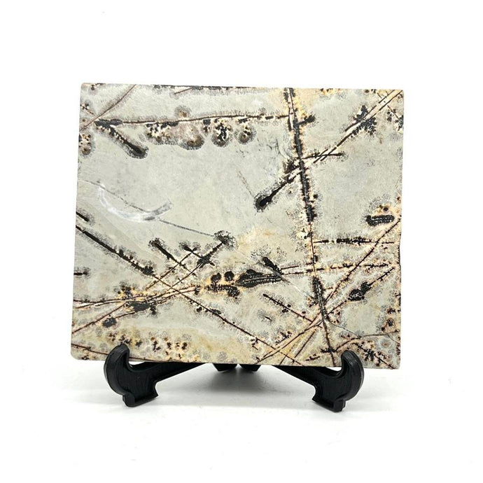 Dendritic Picture Jasper Slab Stone Crystal