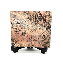 Load image into Gallery viewer, Dendritic Picture Jasper Slab Stone Crystal
