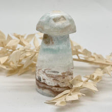 Load image into Gallery viewer, Caribbean Calcite Mushroom Crystal Carving
