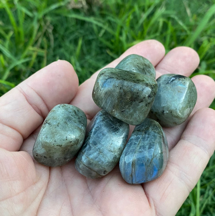 Labradorite Tumbled / Tumble Stone / Tumbles