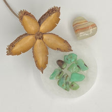 Load image into Gallery viewer, Chrysoprase Tumbled / Tumble Stone / Tumbles
