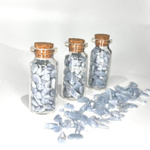 Load image into Gallery viewer, Angelite  Crystals Crystal Chips Magic Gift - One Jar
