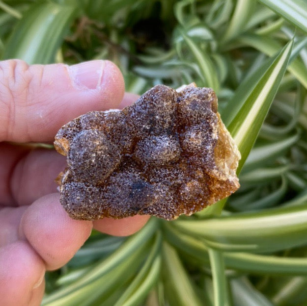 Citrine Cluster Raw Crystal Rock Specimen