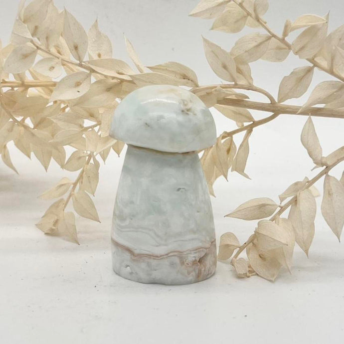 Caribbean Calcite Mushroom Crystal Carving