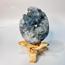 Load image into Gallery viewer, Celestite Crystal Cluster Specimen Raw Crystal Blue crystal
