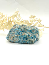 Load image into Gallery viewer, Apatite Raw Crystal Rock Chunk
