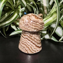 Load image into Gallery viewer, Chocolate Calcite Mushroom Crystal Carving
