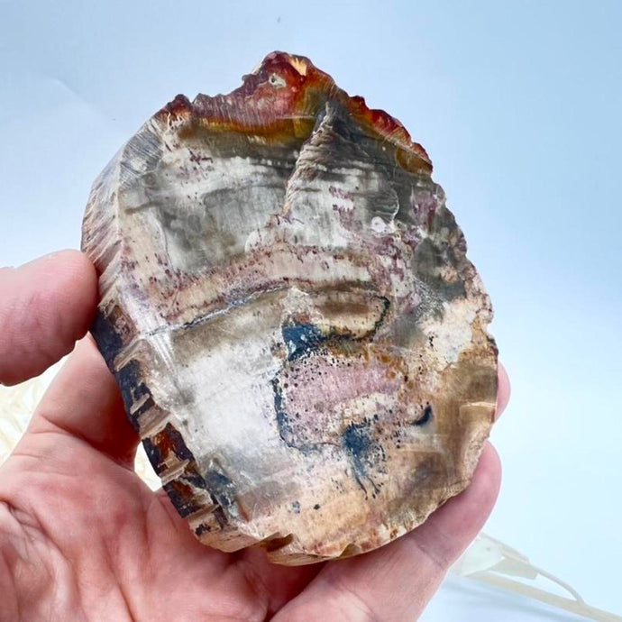 Petrified Wood Fossilised Wood Crystal Slab Raw Stone