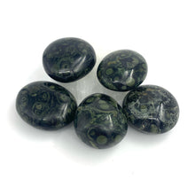 Load image into Gallery viewer, Kambaba Jasper Crystal Palm Stone
