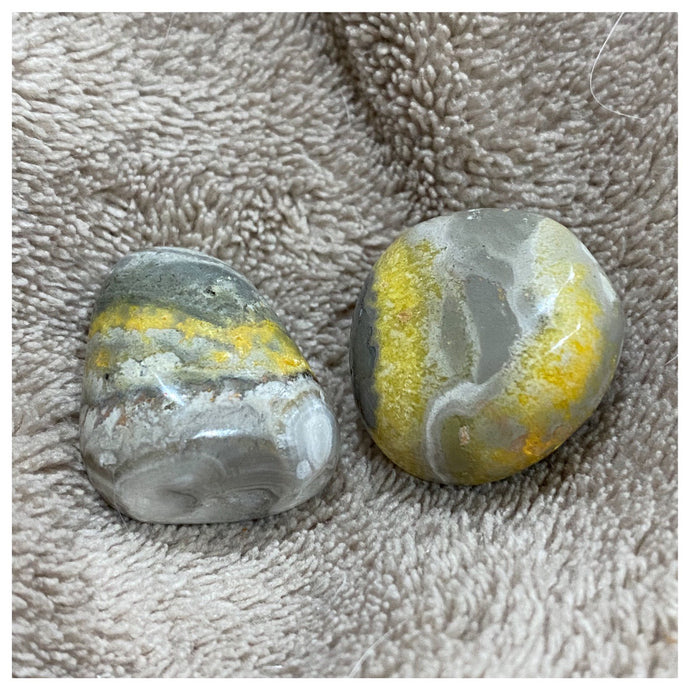 Bumble Bee Jasper Tumbled / Tumble Stone / Tumbles