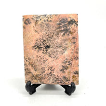 Load image into Gallery viewer, Dendritic Picture Jasper Slab Stone Crystal
