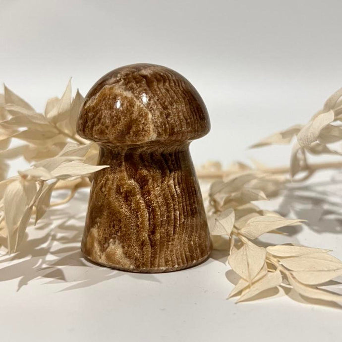 Chocolate Calcite Mushroom Crystal Carving