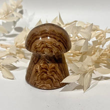 Load image into Gallery viewer, Chocolate Calcite Mushroom Crystal Carving
