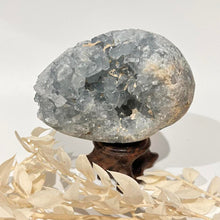 Load image into Gallery viewer, Celestite Crystal Cluster Specimen Raw Crystal Blue crystal
